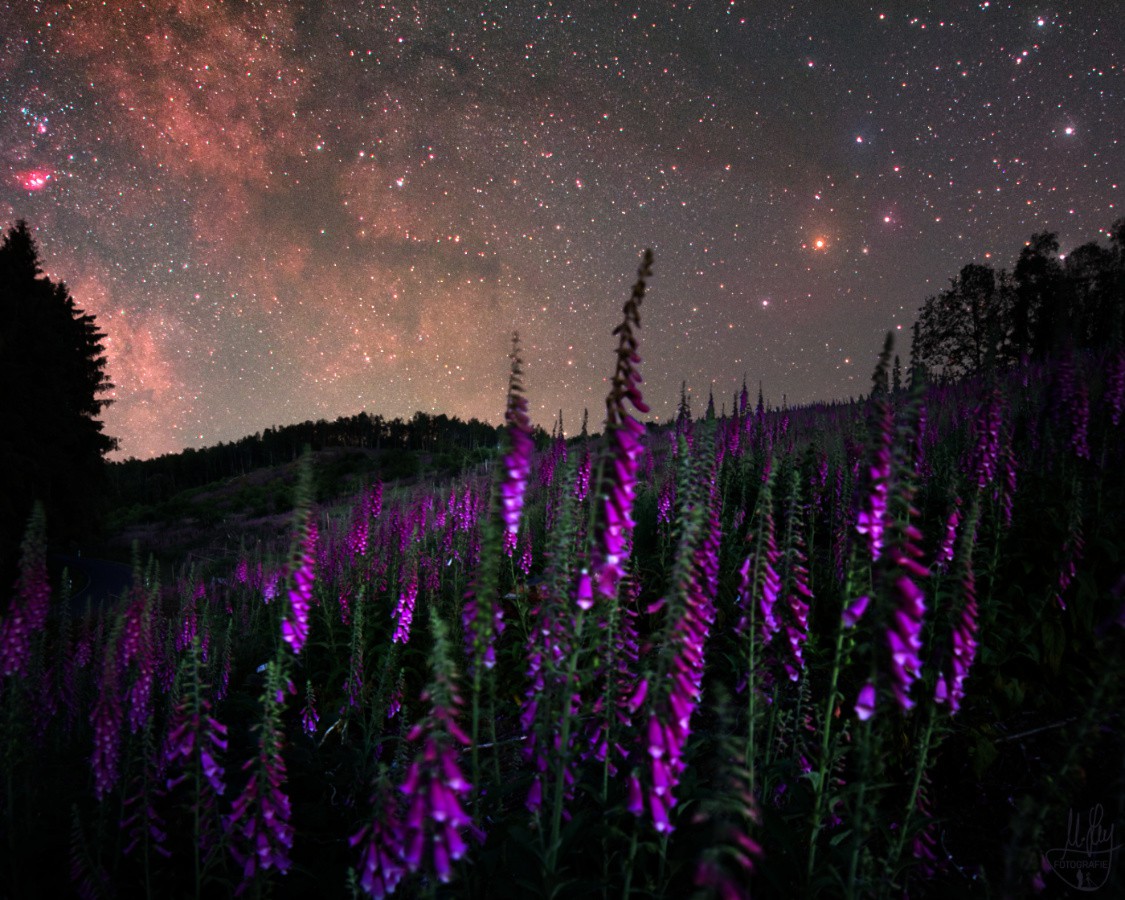 landschaften-20210702b