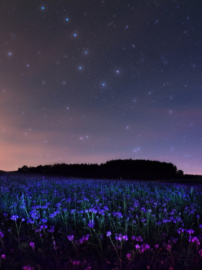 landschaften-20210702d