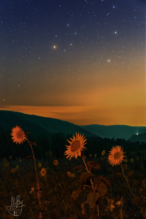 landschaften-20230800a