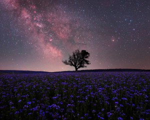 landschaften-20210702a