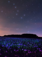 landschaften-20210702d