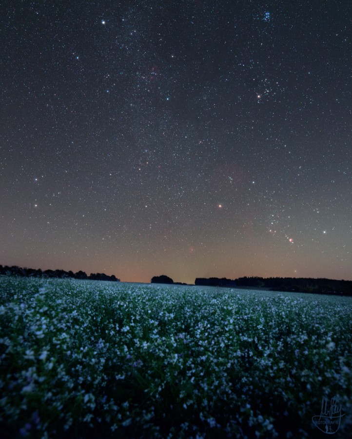 landschaften-20211009b