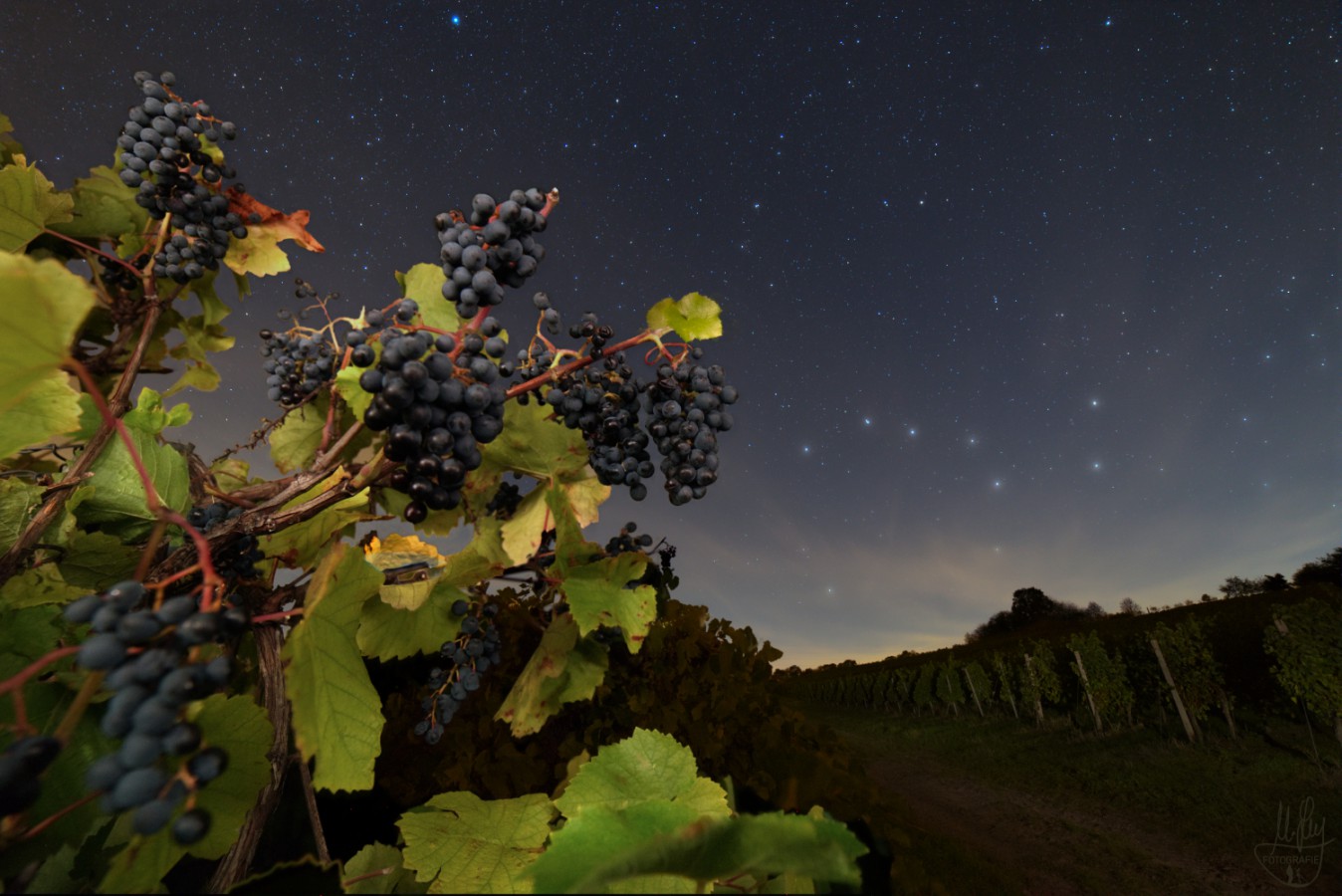 landschaften-20220922b