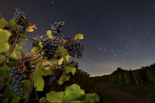 landschaften-20220922b