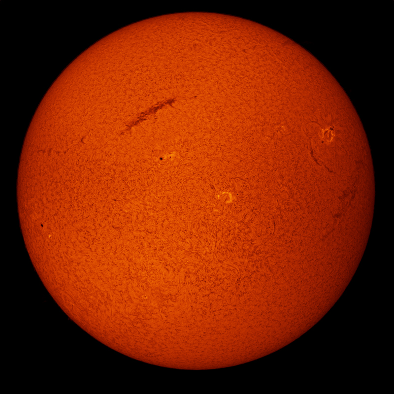 ag sonne coronado 22052025a