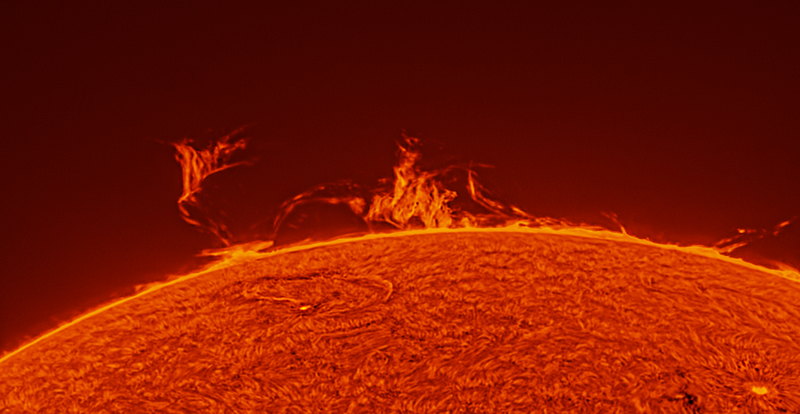 ag sonne coronado 22052025b
