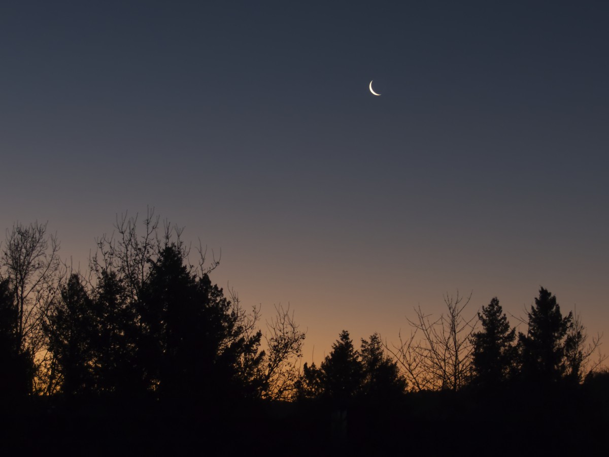 mondimpressionen-20211231a