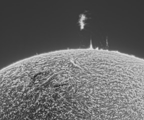 protuberanzen-20240827a