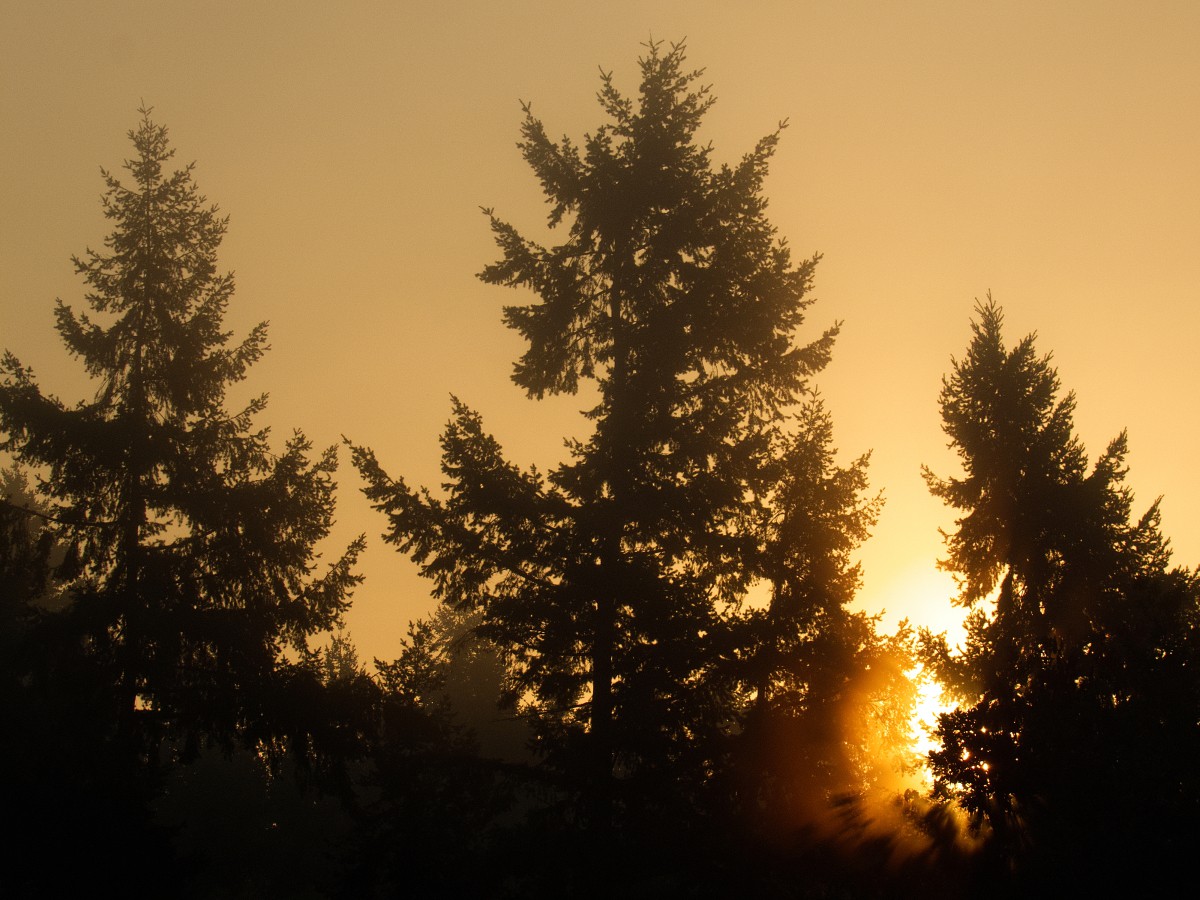 sonnenimpressionen-20171017a