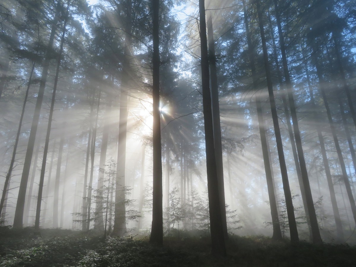 sonnenimpressionen-20231016a